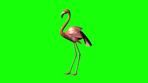 green flamingo animal rest display compound