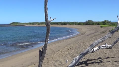 Kailua-Kona, HI — Honokohau Beach