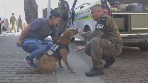 Emotional support dog Goliath assists OAR personnel