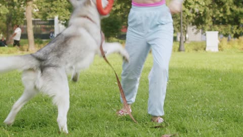 A girl playing with her dog in the garden