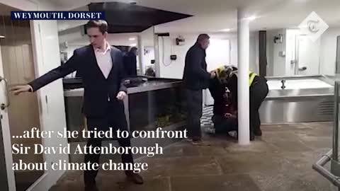 Climate protester dragged out of Michelin-starred restaurant after confronting David Attenborough