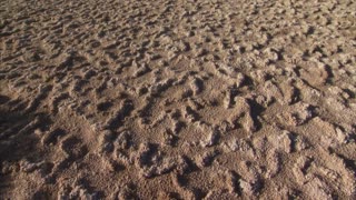 Salt Creek - Death Valley National Park