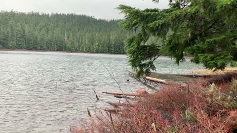 Beautiful Forest Lake – Mount Hood National Forest – Oregon – 4K