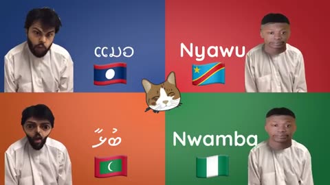 Meow Around the World: Discover How to Say 'Cat' in Different Languages