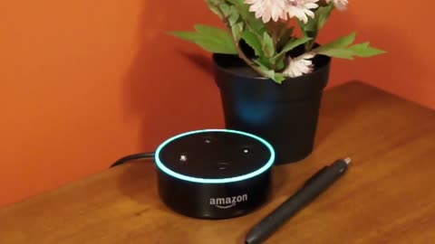 The New Amazon Alexandria Voice Assistant - (AOC Amazon Alexa Parody)