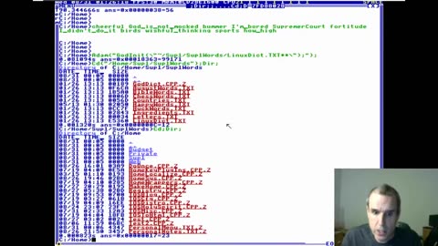 Terry Davis： TempleOS - Timer Random Tongues [08⧸31⧸16]