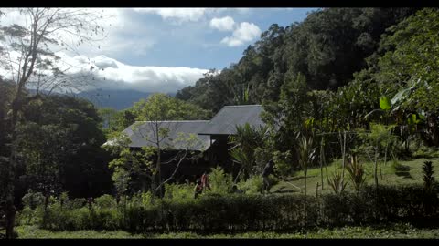 Tanah Papua: A Paradise for Birds