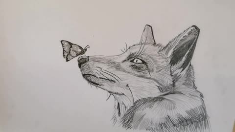 Just a little Fox