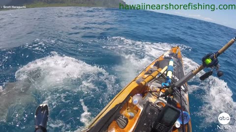 Dramatic footage captures the moment a shark attacked