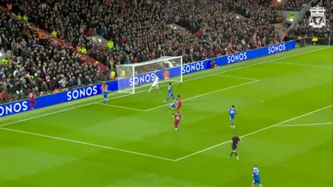 HIGHLIGHTS: Liverpool 2-1 Leicester City | TWO own goals give Reds comeback win