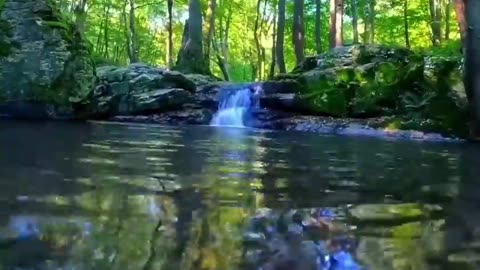 3 DAYS solo survival CAMPING. FISH, CATCH and COOK. Building BUSHCRAFT SHELTER. 30KG Giant MUSHROOM