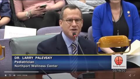 Dr Larry Palevsky - Nanoparticles in Vaccines, Public Health Hearing - 🇺🇸 English (Engels) - 28m25s