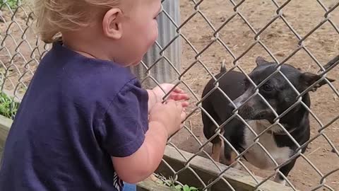 So much Joy!!! boy and a puppy