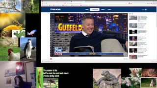 Gutfeld 3/2/2023 Watchalong