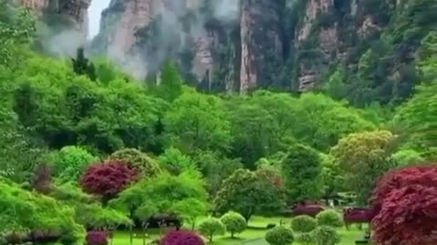 Charming nature with birds singing, psychological comfort