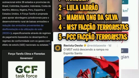 Responsáveis pelas queimadas por ordem; No topo Noruega, Lula, Marina, MST e PCC o PCC só está atribuindo pra si,a responsabilidade para ocultar os cabeças.