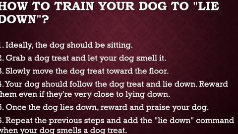 Basic dog 🐕 training top 7 tips -comments every dog