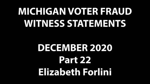 2020 Election - MI Voter Fraud Witness claims seeing fake ballots likely from Canada