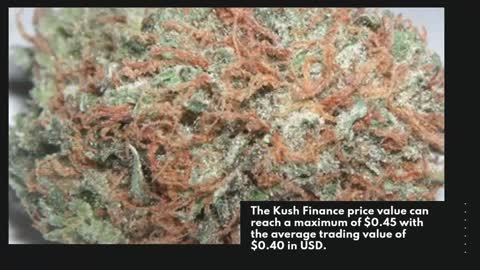 Kush Finance Price Prediction 2022, 2025, 2030 KSEED Cryptocurrency Price Prediction