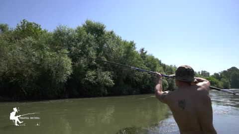 Big chub and barbel fishing with mulberry