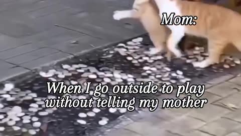 When I go outside to play without telling my mother..........