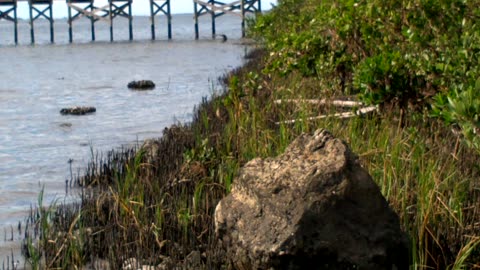 My Good fishing pier got wrecked from the last hurricane