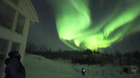 The aurora chase on Senja island - real-time northern lights