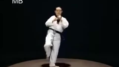 Taekwondo Basics