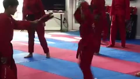 Taekwondo