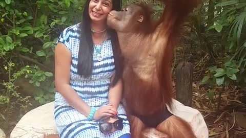 Orangutan can be full of FUN!!!