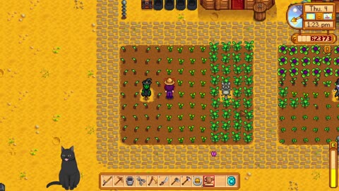 stardew vally with swamp ginger