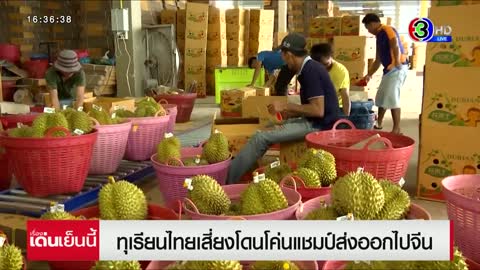 ทุเรียนไทยเสี่ยงโดนโค่นแชมป์ส่งออกจีน หลังเวียดนาม-มาเลเซีย เข้าตีตลาด