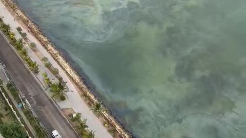 Video: reportan mancha oleosa en la bahía de Cartagena