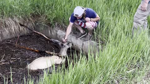 Grandfather and Grandson Rescue Deer