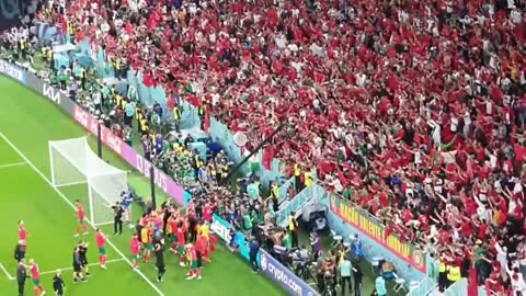 Crazy Morocco Fan Reactions To Win Against Portugal