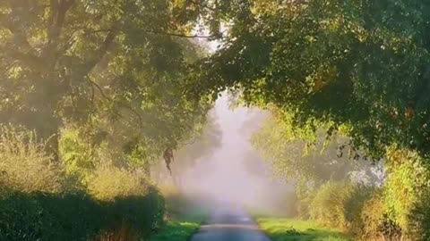 Take a deep breath and feel the breath of autumn together