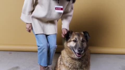 A woman carries a homeless dog to her home..