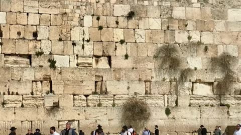 The Western Wall in Jerusalem, Palestine