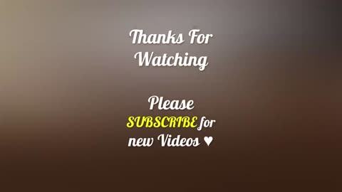 Funny videos