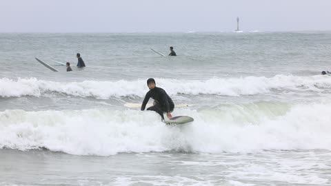 Sea and surfers