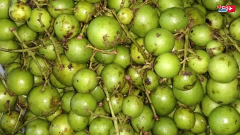 11 Indonesian Rare Fruits That Are Rarely Found and Almost Extinct