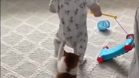 Funniest Cats And Dogs Video 162