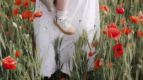 Woman Walking on Red Poppy Flower Field While Carrying Her Baby