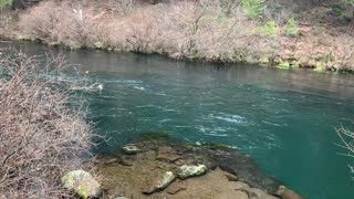 Jade Colored Gorgeous Section of Metolius River – Central Oregon