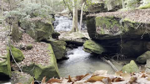 Eagle Creek Falls, Walden Falls, Deer Skull Falls, Hemlock Falls, Fern Glade Falls, & Wolfpen Falls