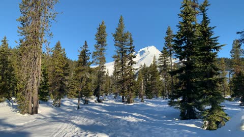 Mount Hood Peak and National Forest – Oregon – 4K