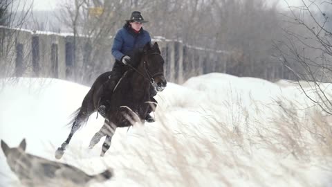 Equestrian sport - rider woman on fast horse galloping in snowy field