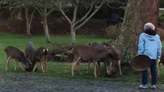 My mama feeding the kids