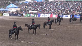 Cuadro Negro de Caballería del Ejército, Chile