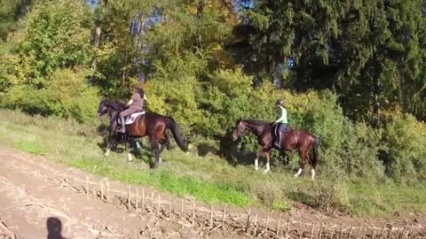 Gemütlicher Herbstausritt mit Pferd & Rad